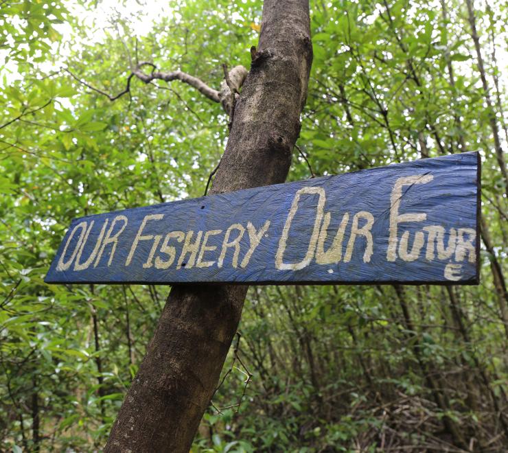 One Mangrove One life 